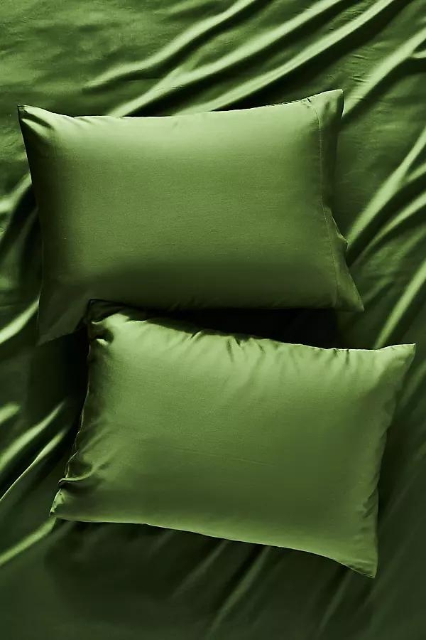 Sijo AiryWeight Eucalyptus Shams, Set of 2 - Image 0