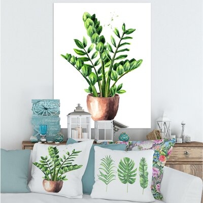 Zamioculcas Tropical Plant With Green Leaves - Traditional Canvas Wall Art Print PT35488 - Image 0