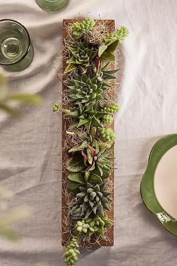 Shade-Loving Succulent Centerpiece Planter - Image 0