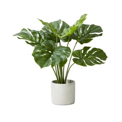 21" Evergreen Plant in Pot - Image 0
