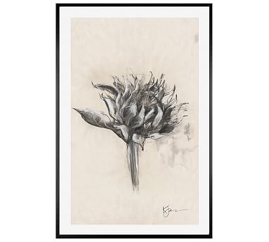 Charcoal Sunflower Sketch, Single Bloom, 28" x 42" Wood Gallery, Black, Mat - Image 0