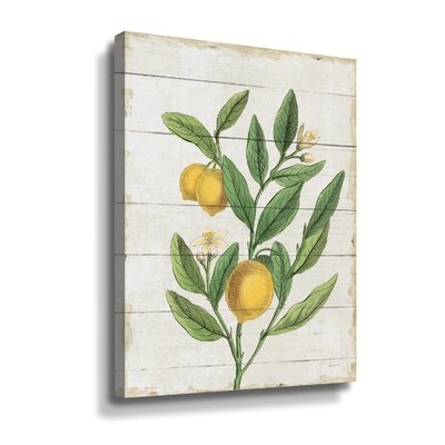 Classic Citrus V Shiplap  Gallery Wrapped Canvas - Image 0