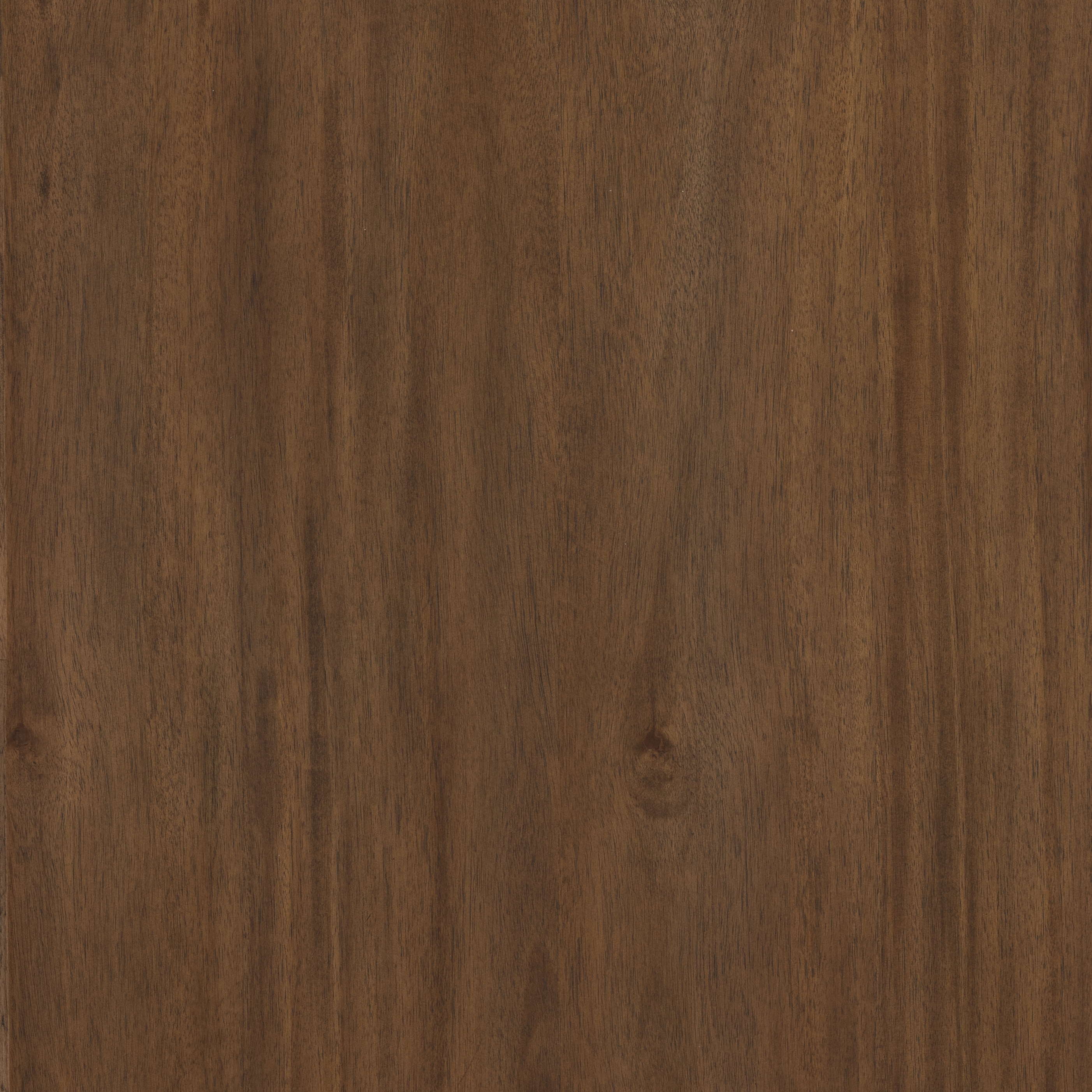 Paden Dining Bench-Seasoned Brown Acacia - Image 4