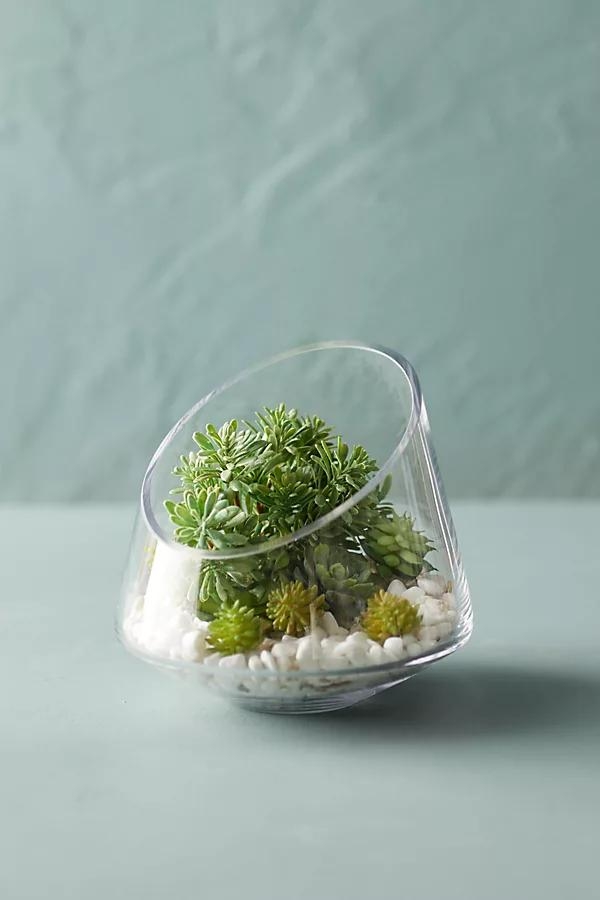 Angled Edge Terrarium - Image 0