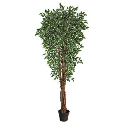 70In. Variegated Ficus Artificial Tree UV Resistant (Indoor/Outdoor) - Image 0