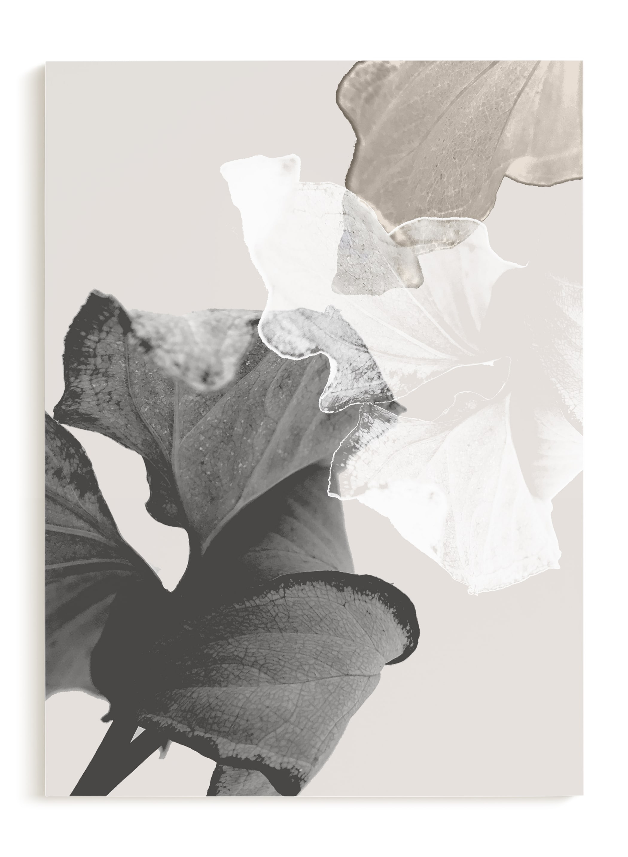 Refractions Limited Edition Fine Art Print 1 - Image 0