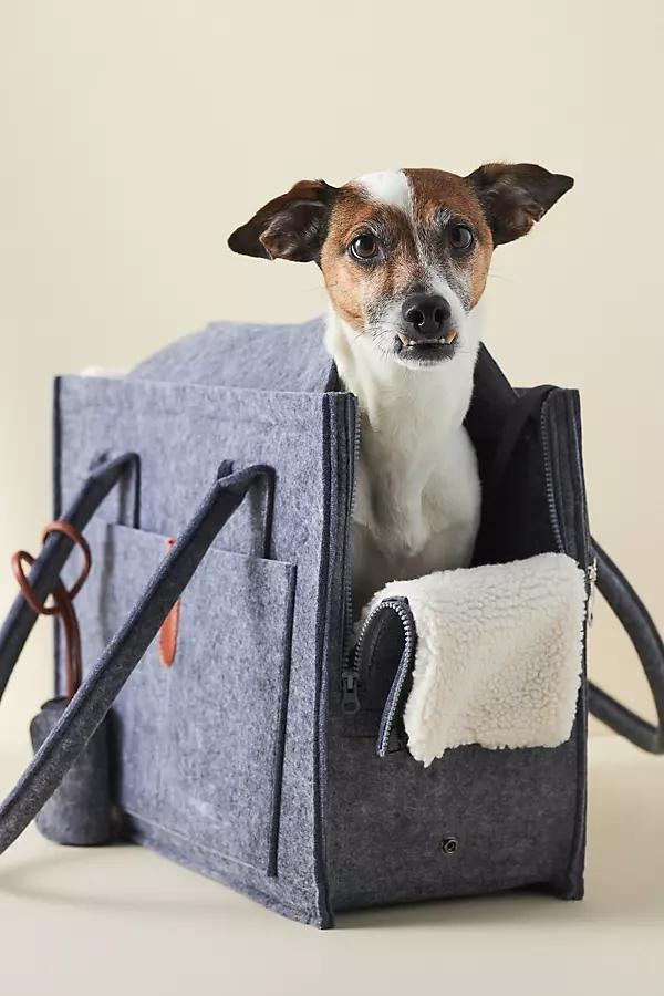 Stella Dog Carrier - Image 0