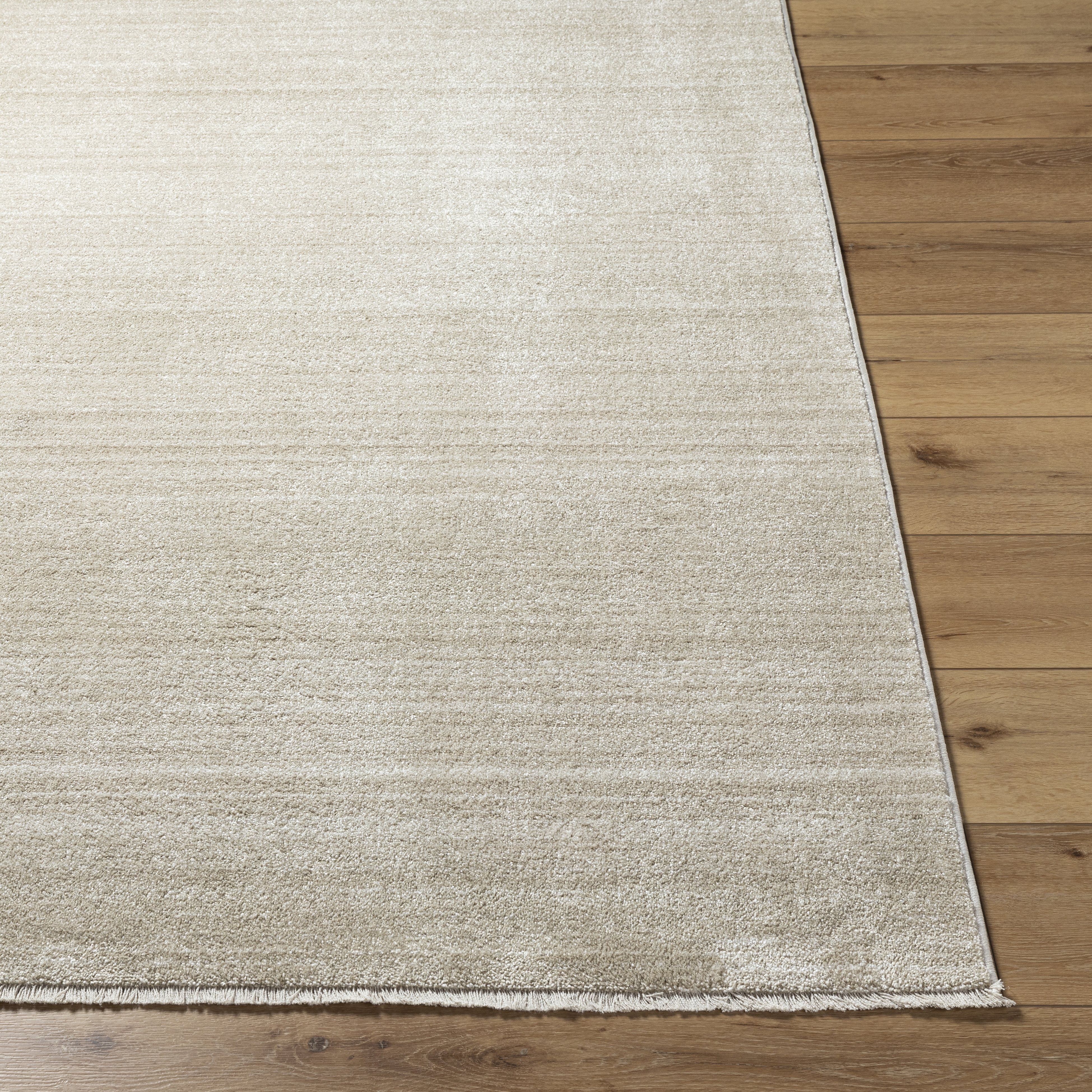 Rojin Beige Indoor 9' x 12'7" Machine Woven Rug - Image 1