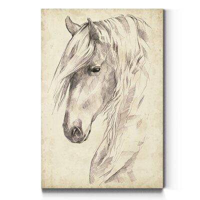 Horse Portrait Sketch II - Wrapped Canvas Print - Image 0