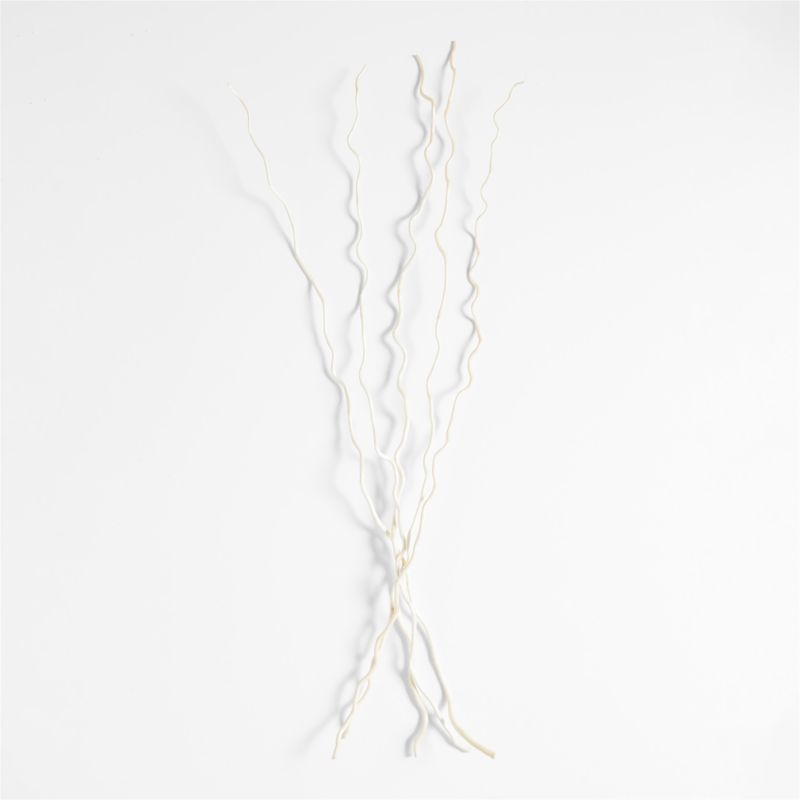 Dried Curly Willow Branches, Set of 5 - Image 0