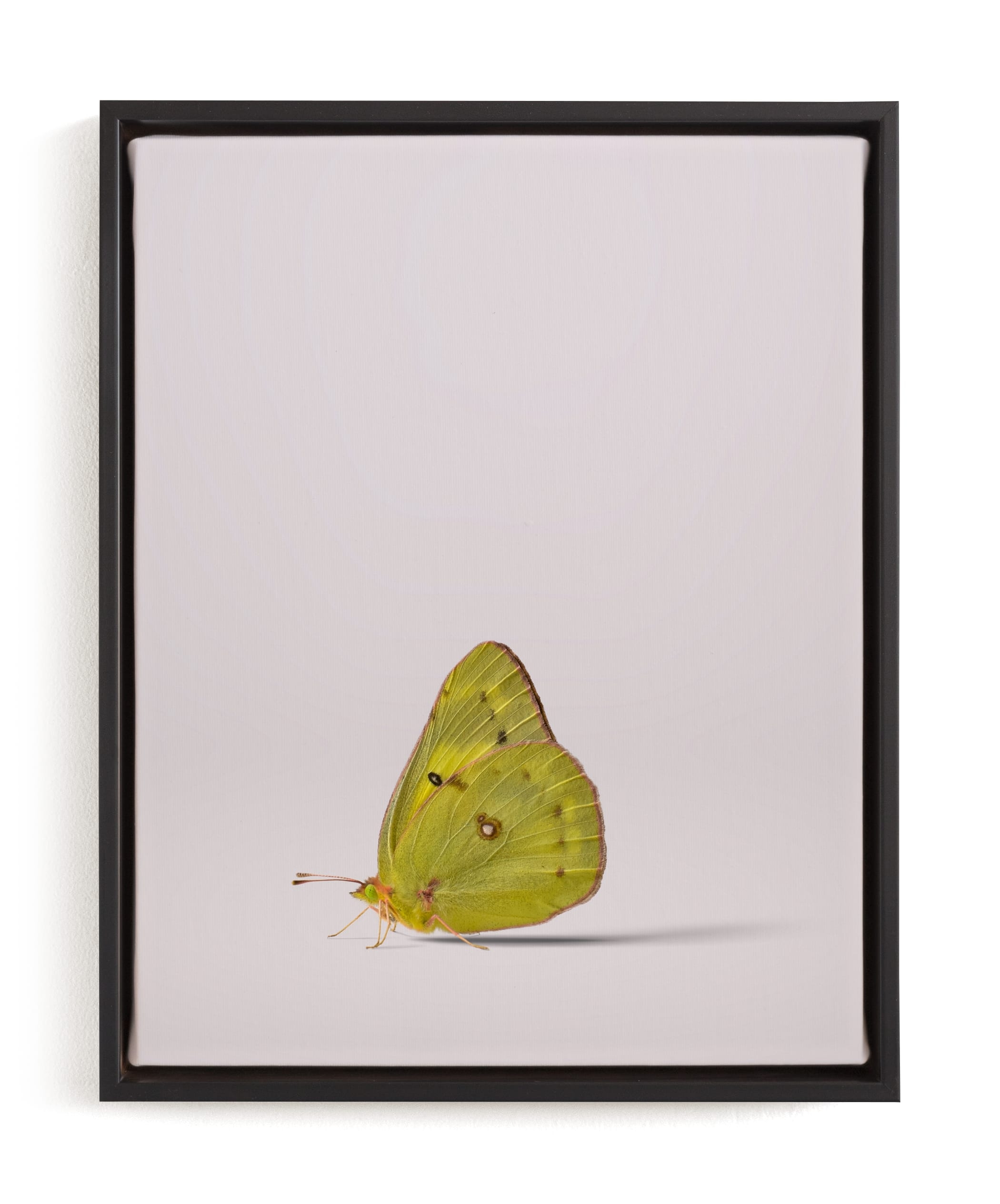 Tiny Wings Limited Edition Fine Art Print 1 - Image 0