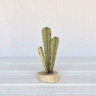 Stephan Column Cactus - Image 0