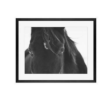 Black Horse Portrait Framed Print by Jennifer Meyers, 16 x 20 Wood Gallery, Black, Mat - Image 0