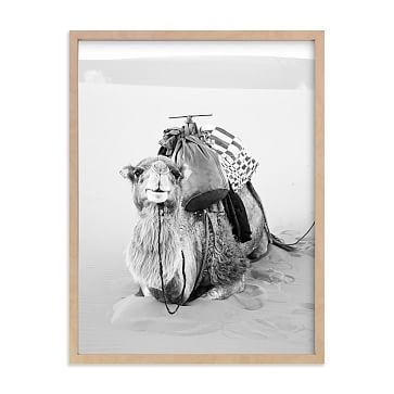 Smiles in the Sahara, White Wood Frame, 16"x20" - Image 2