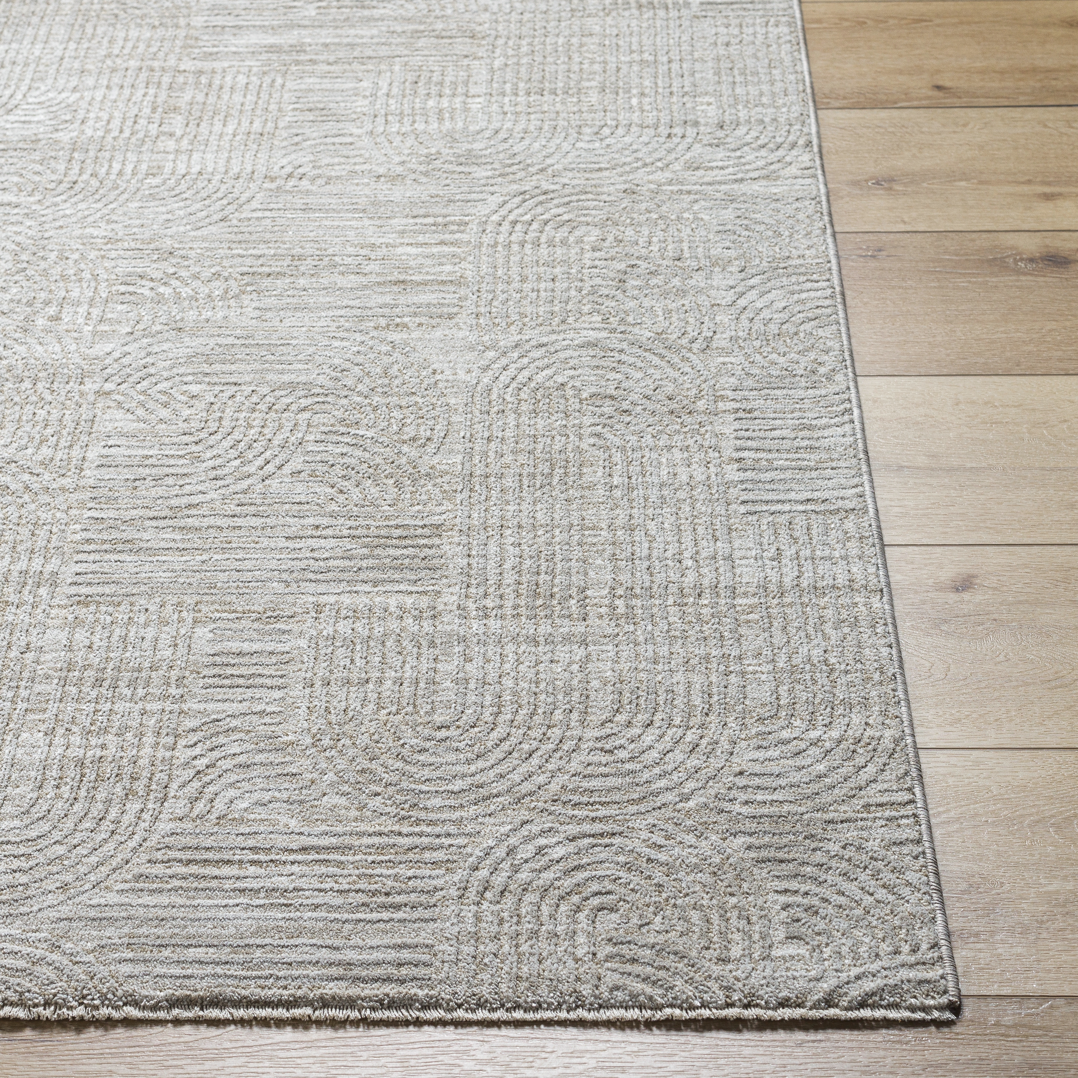 Masterpiece Gray Indoor 2' x 2'11" Machine Woven Rug - Image 3