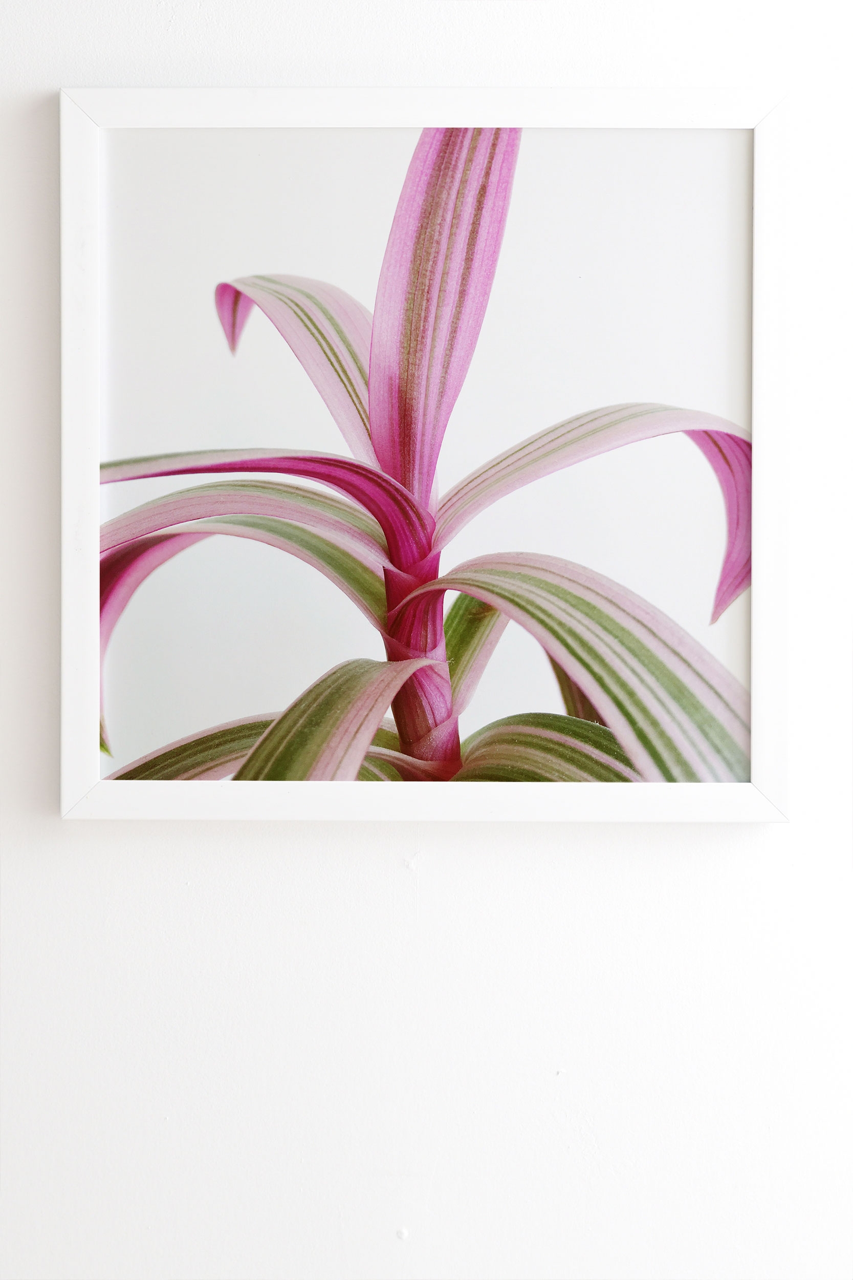 Moses In The Cradle by Cassia Beck - Framed Wall Art Basic White 20" x 20" - Image 0