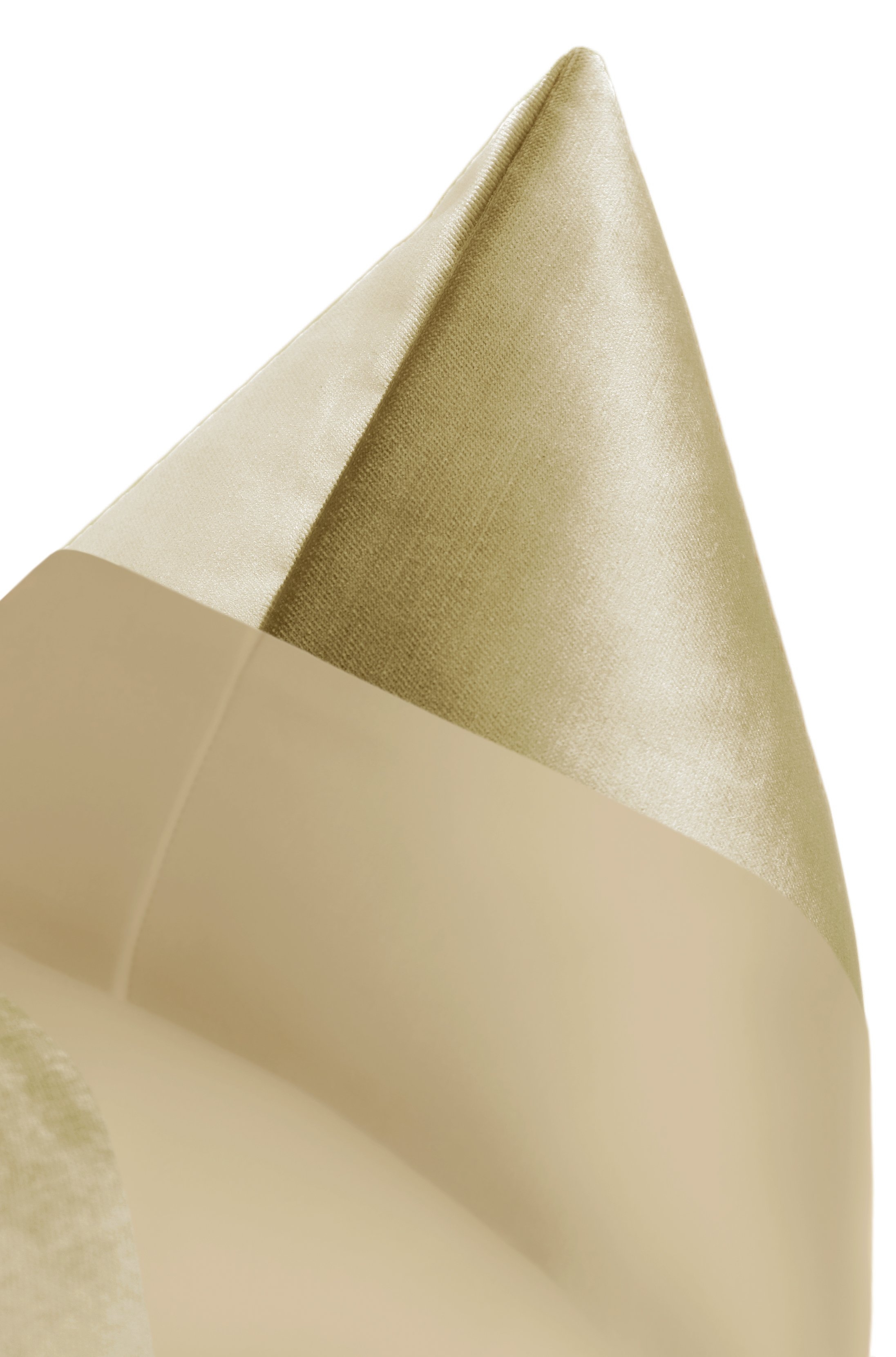 PANEL MONOCHROMATIC :: FAUX SILK VELVET // CHAMPAGNE - 24" X 24" - Image 2