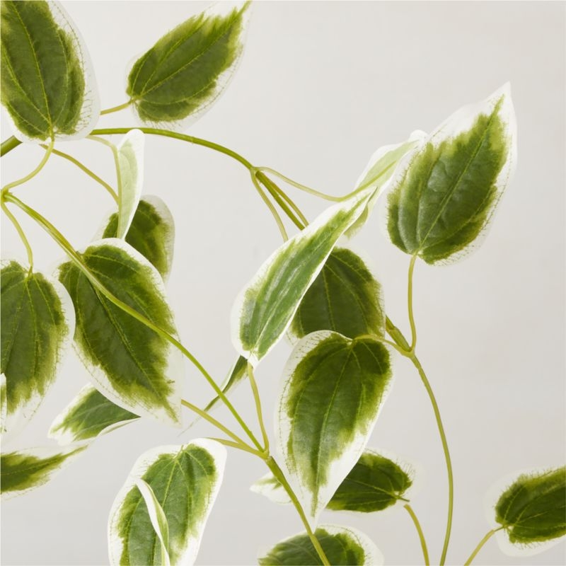 Faux Clematis Vine Stem 38" - Image 1