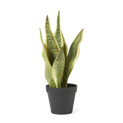 Artificial Snake Plant - Image 0