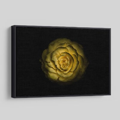 'Backyard Flowers 85 ' - Photographic Print On Wrapped Canvas - Image 0