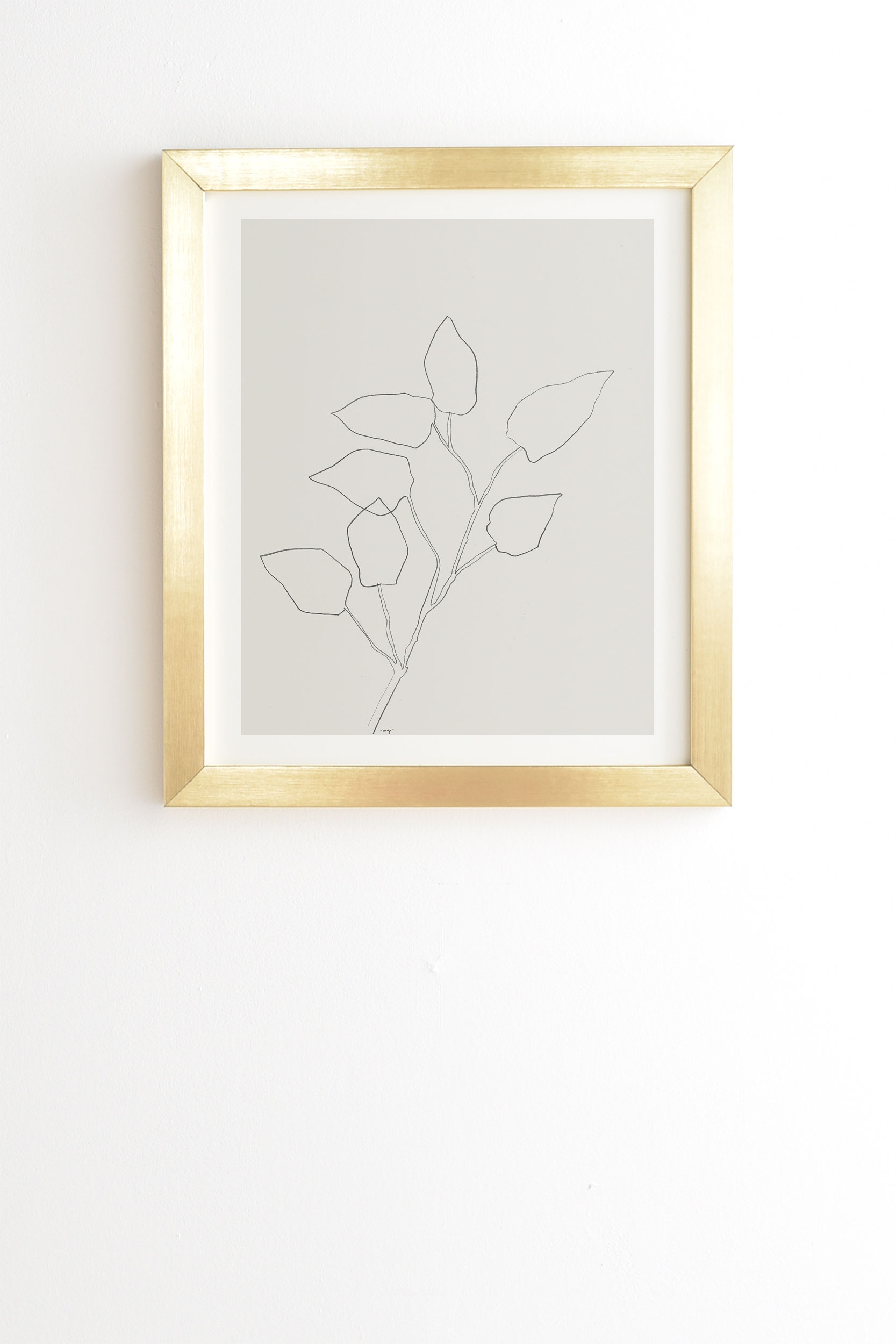Floral Study No 5 by Megan Galante - Framed Wall Art Basic Gold 20" x 20" - Image 0