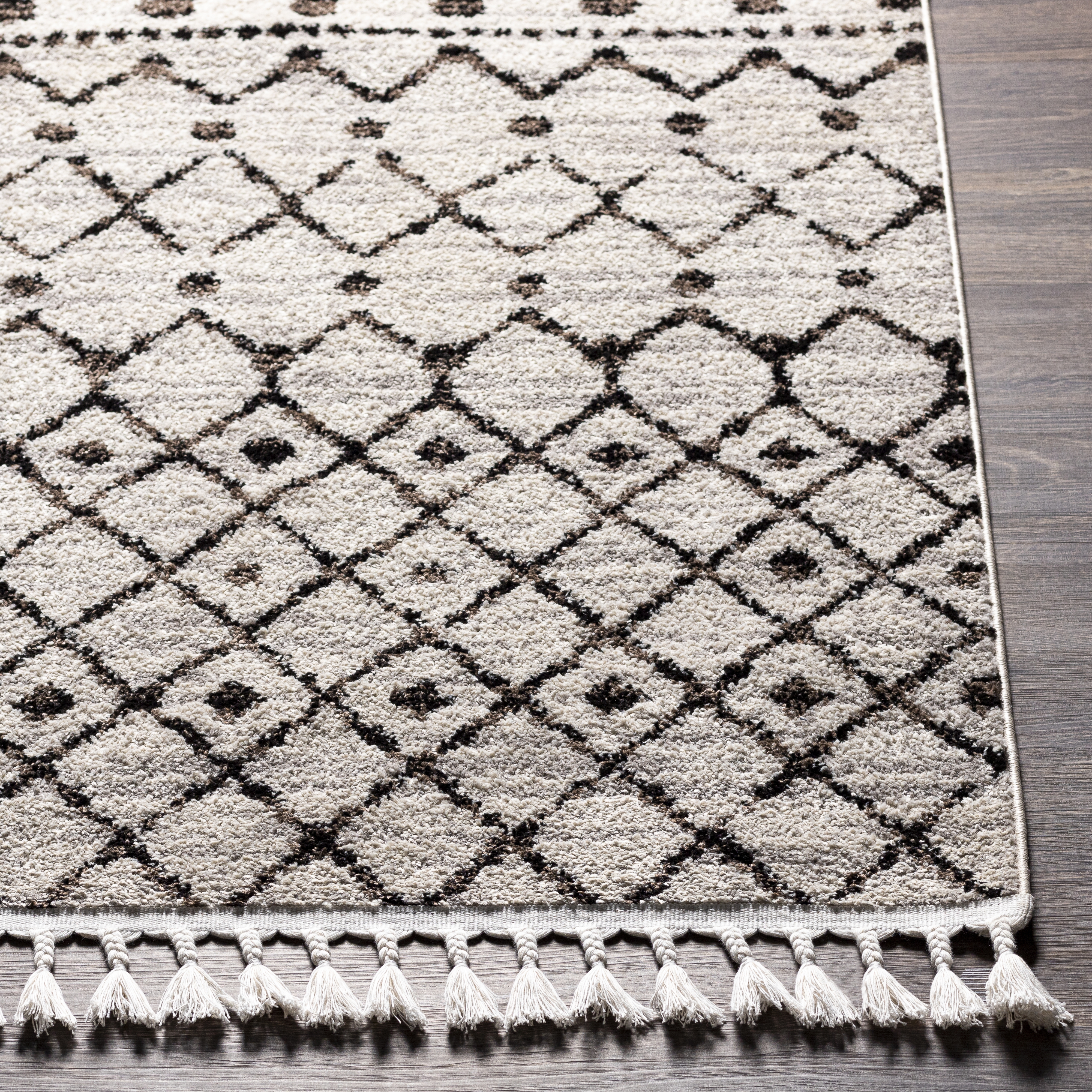 Blackburn Black Indoor 6'7" x 9' Machine Woven Rug - Image 1
