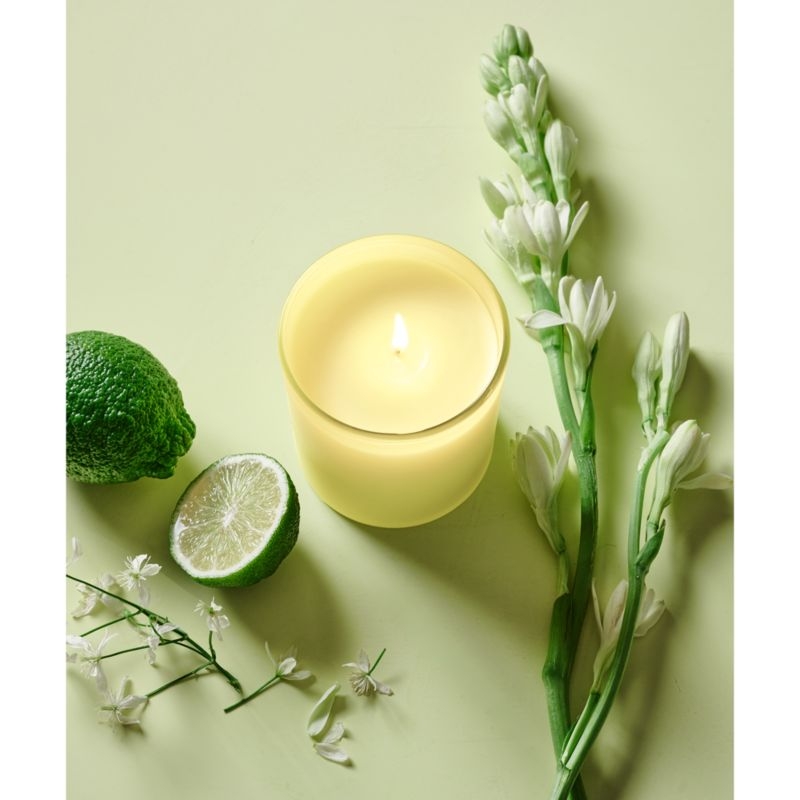 Monochrome No. 9 Citron 1-Wick Candle - Bergamot, Sandalwood and Tuberose - Image 1