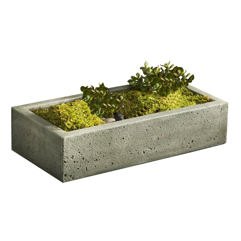Campania International Garden Terrace Cast Stone Planter Box Color: Aged Limestone, Size: 5" H x 22" W x 11" D - Image 0