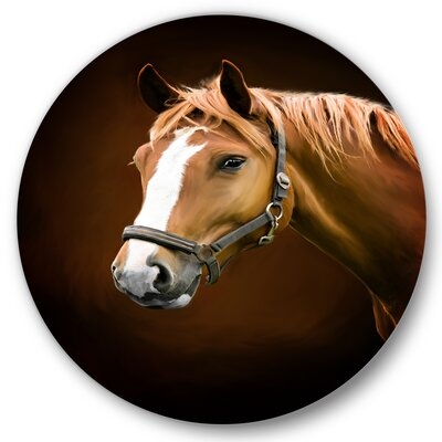 Portrait Of Brown Horse With White Nose I - Farmhouse Metal Circle Wall Art - Image 0