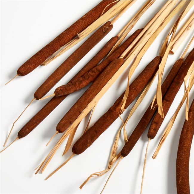 Cattail Bunch - Image 0