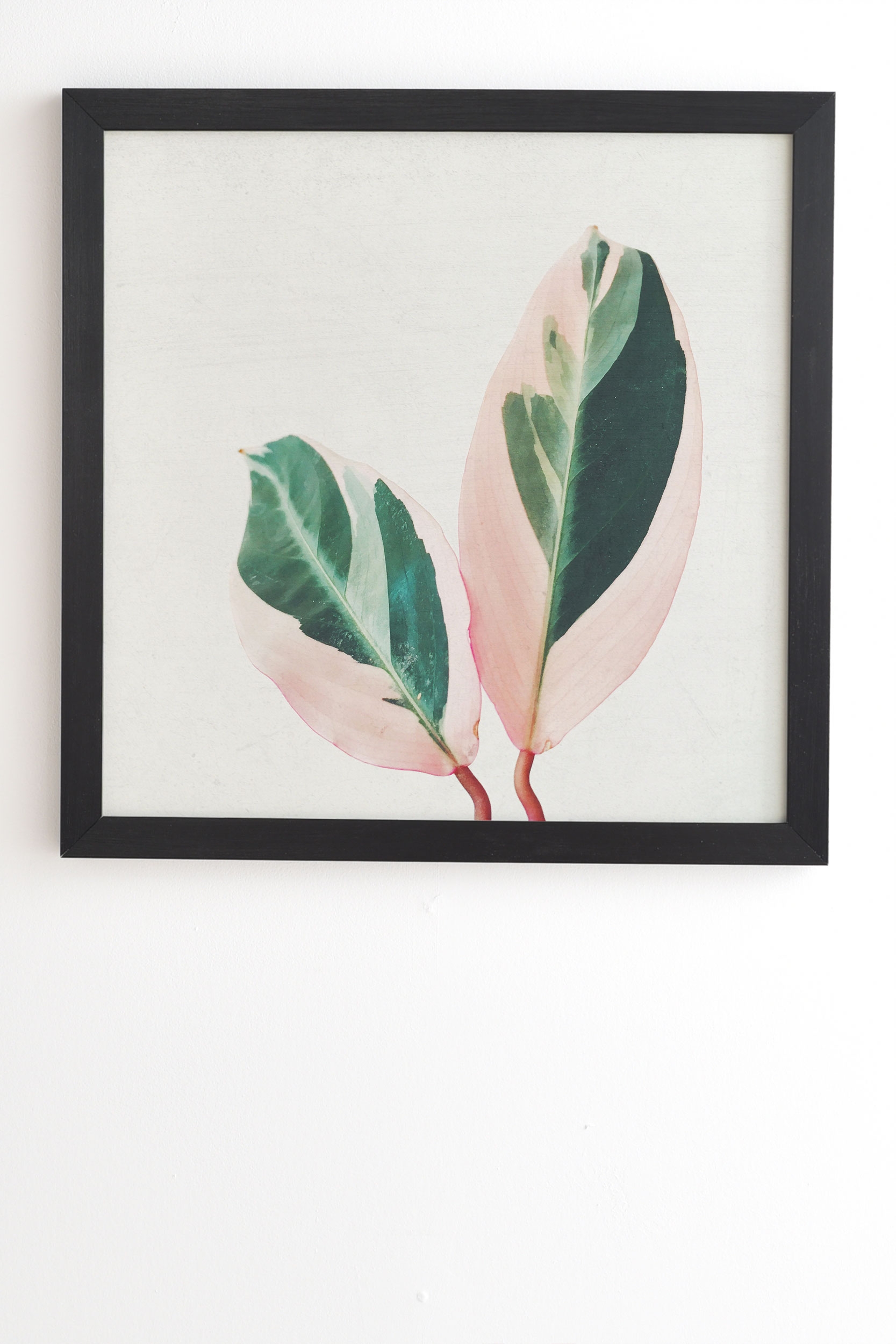 Pink Leaves I by Cassia Beck - Framed Wall Art Basic Black 20" x 20" - Image 1