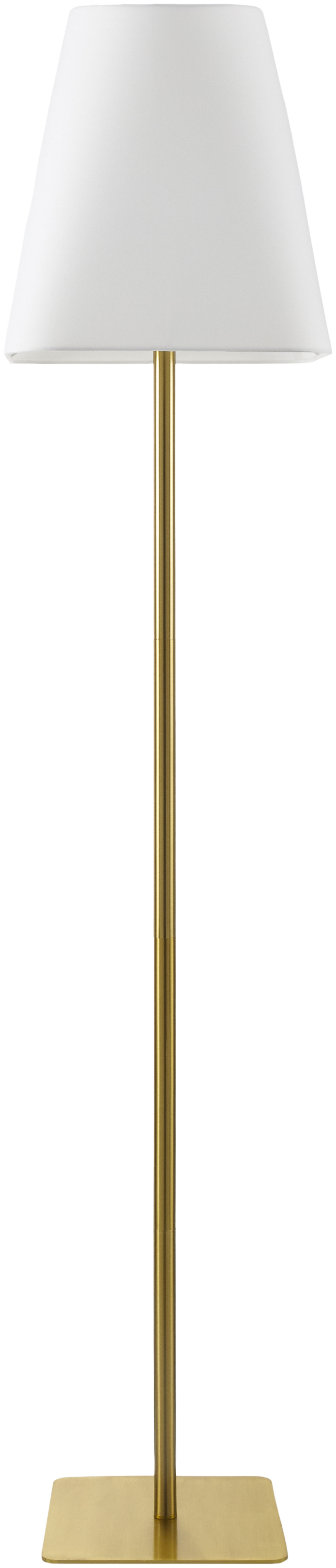 Pique  Plated 66"H x 14"W x 14"D Accent Floor Lamp - Image 0
