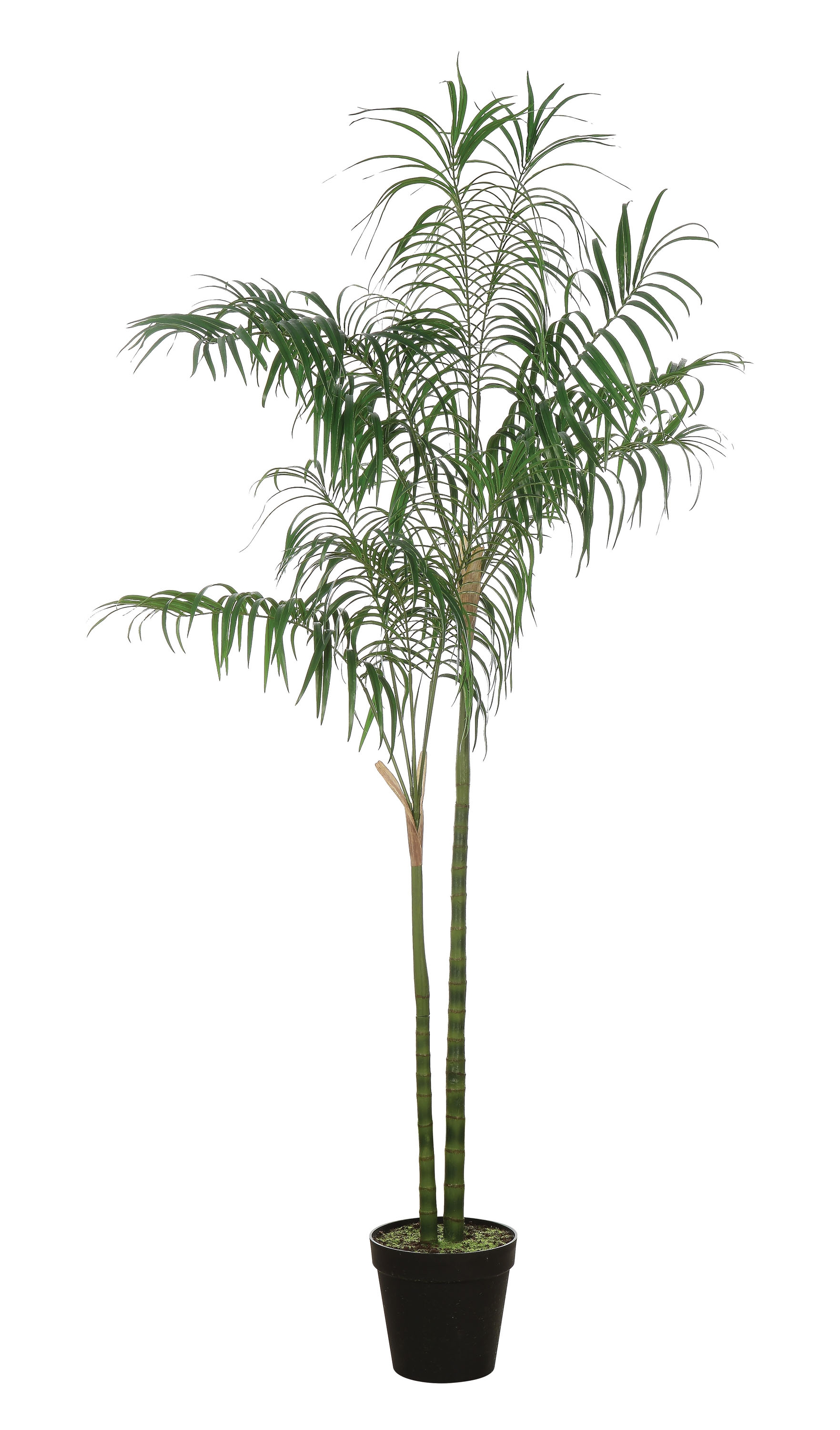Faux Palm Tree in Pot - Image 0