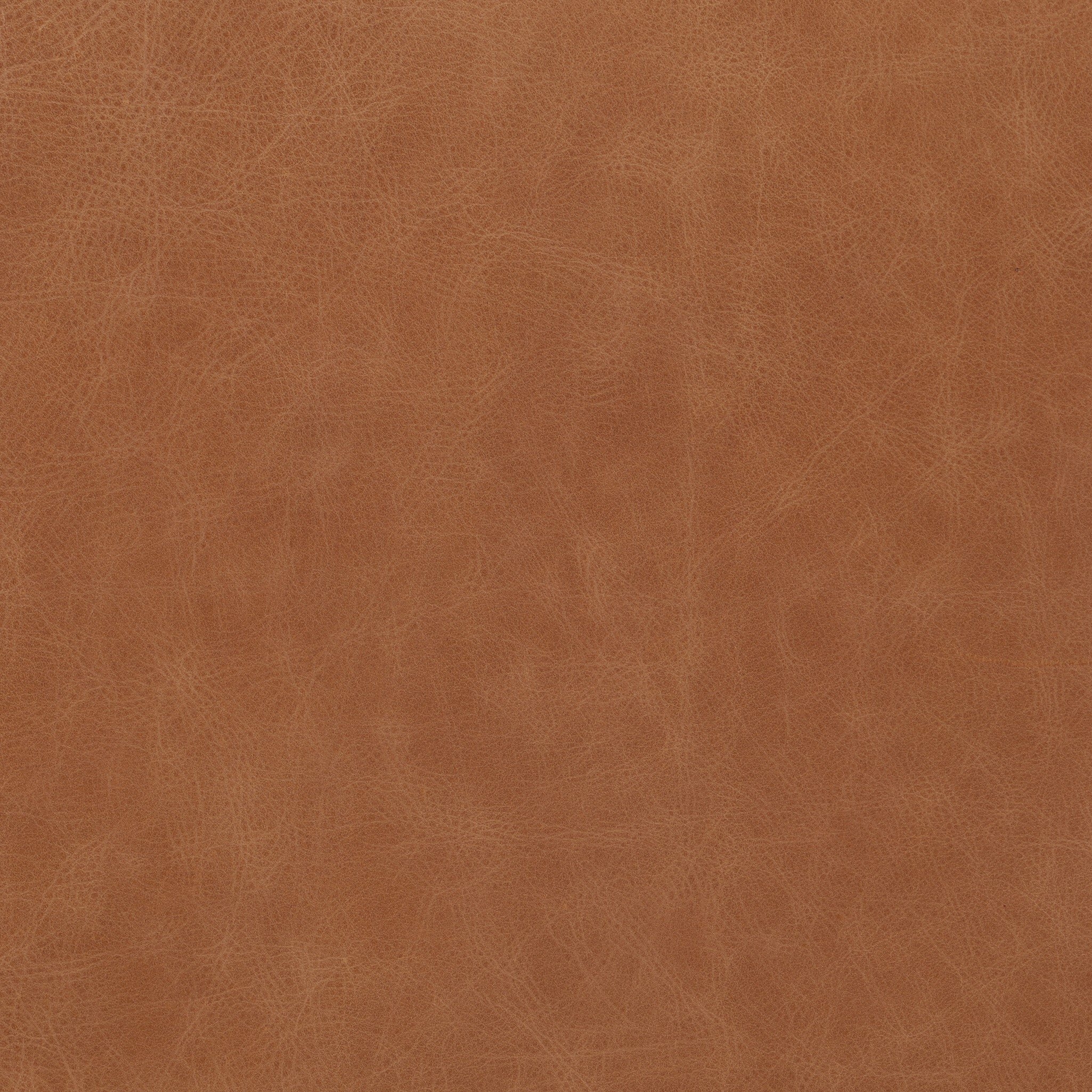 Amare Bar + Counter Stool - Sonoma Butterscotch - Image 10