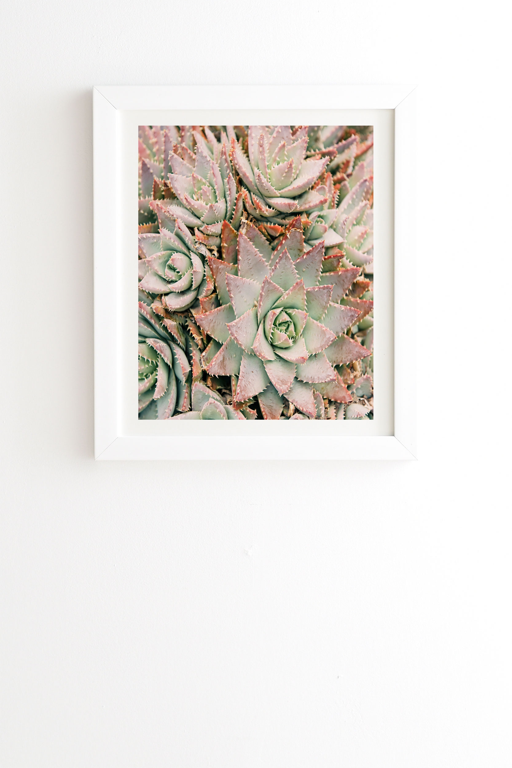 Succulent by Bree Madden - Framed Wall Art Basic White 8" x 9.5" - Image 0
