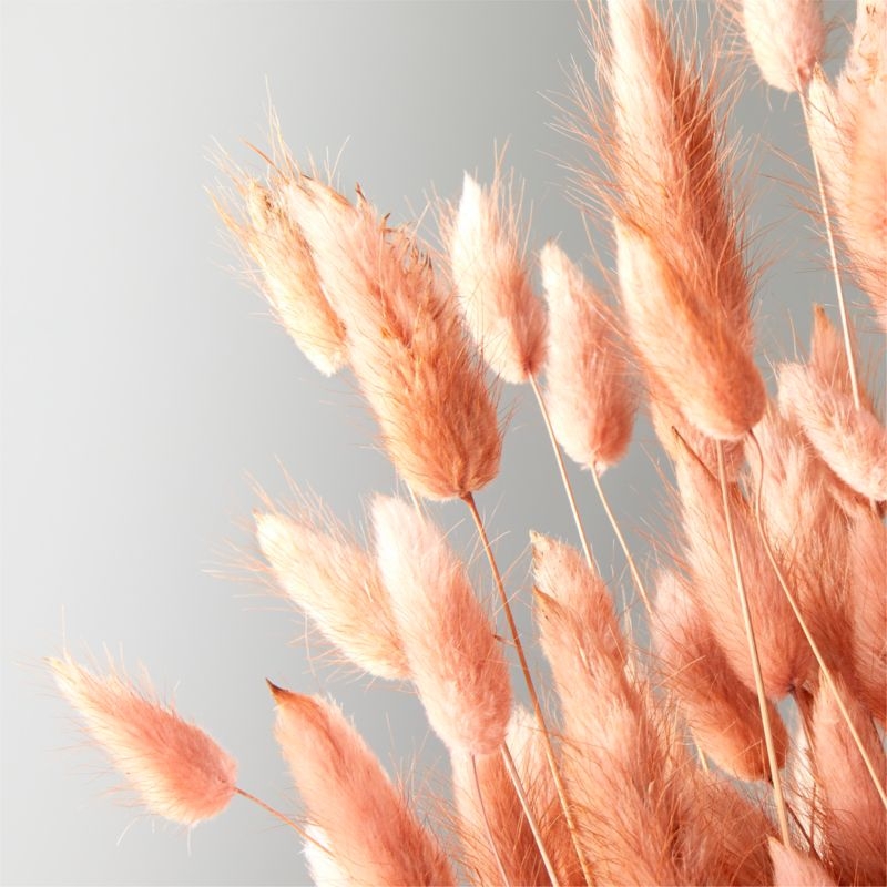 Bunnies Tail Amber Bunch 28" - Image 1