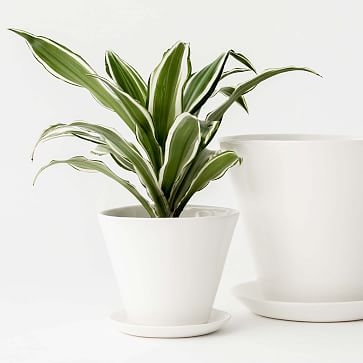 Minimal Planter Glaze IVory White 8 Inch - Image 2