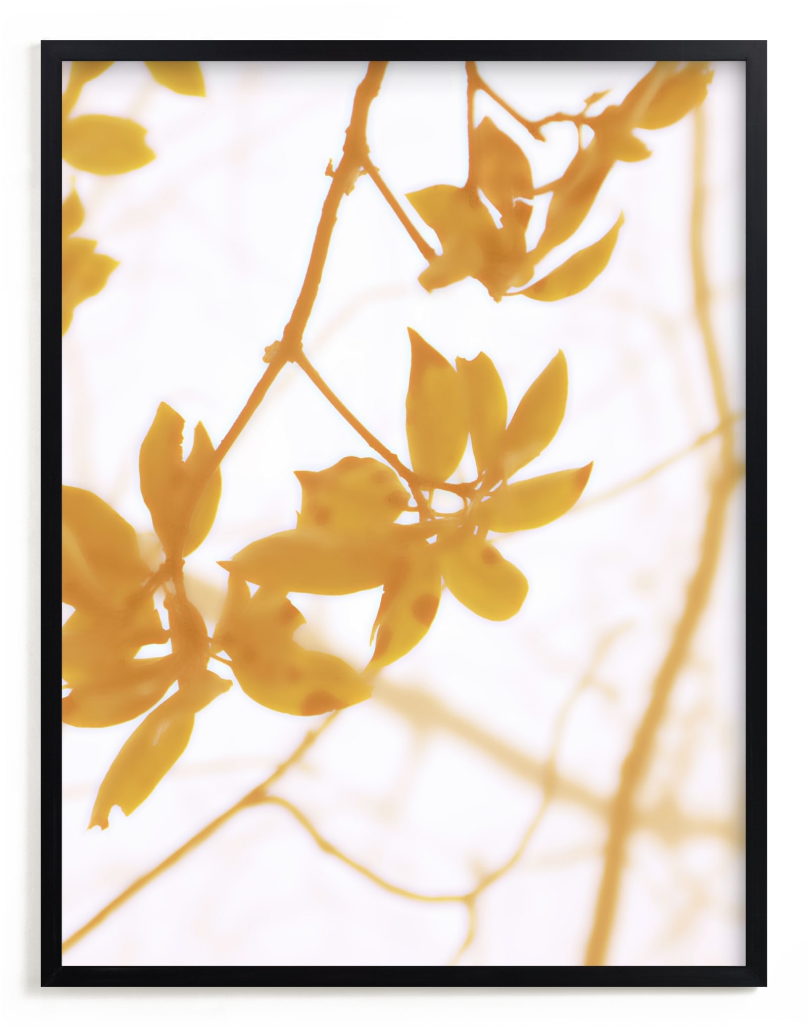 Morning I Limited Edition Fine Art Print 2 - Image 0