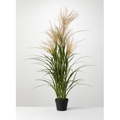 Artificial Reed Grass in Pot - Image 0