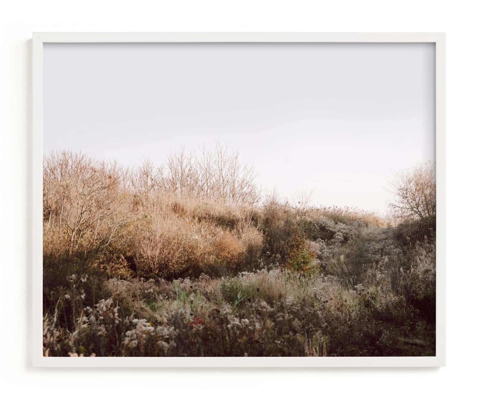 The Preserve Limited Edition Fine Art Print 2 - Image 0