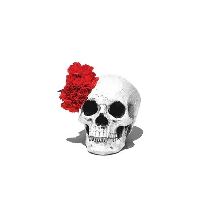 Skull & Red Carnation Black & White - Print - Image 0