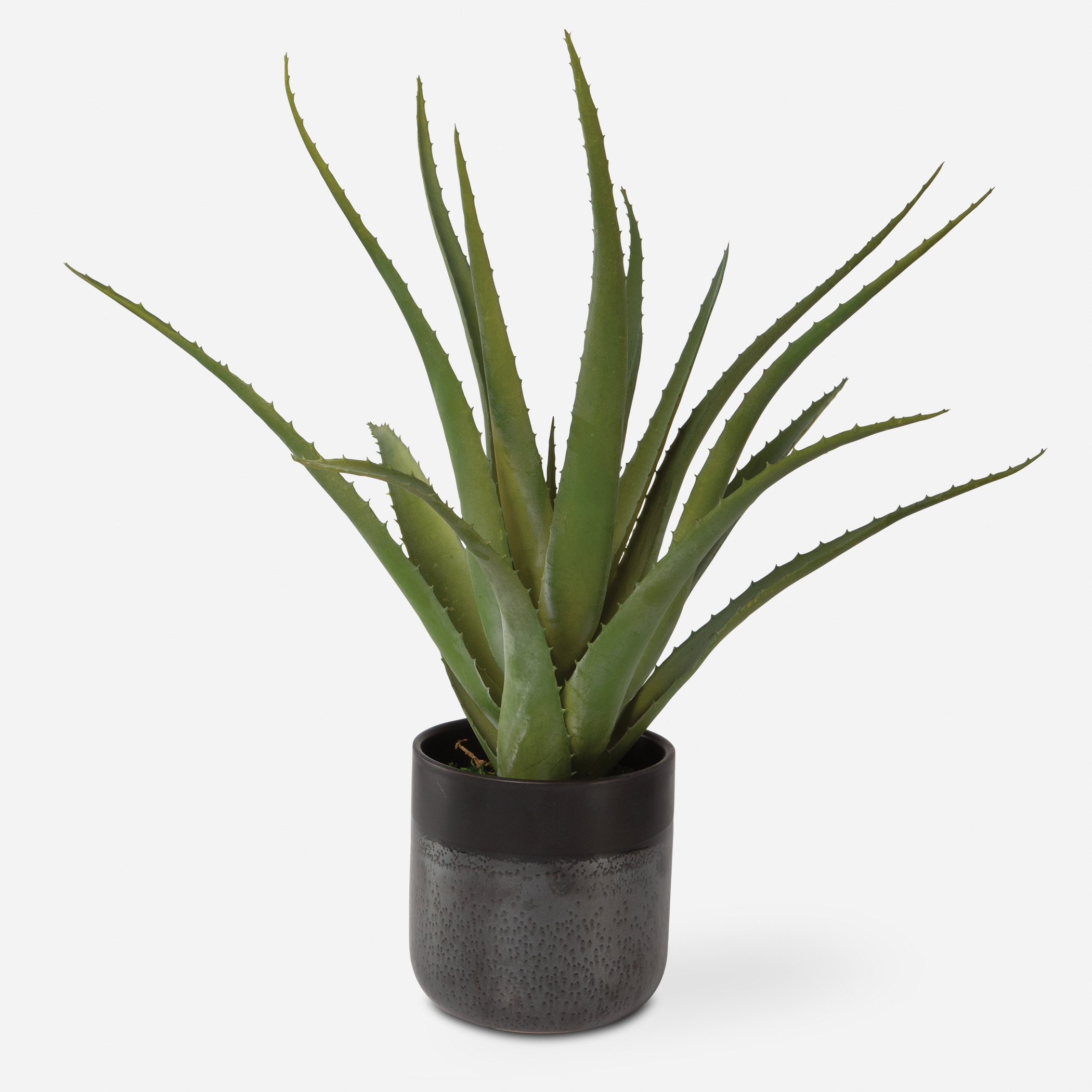 Tucson Aloe Planter - Image 0