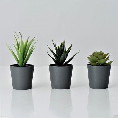 Artificial Small Succulent Plants Set Of 3, Mini Faux Succulents, Fake Plants Small Potted, In Dark Grey Pot - Image 0