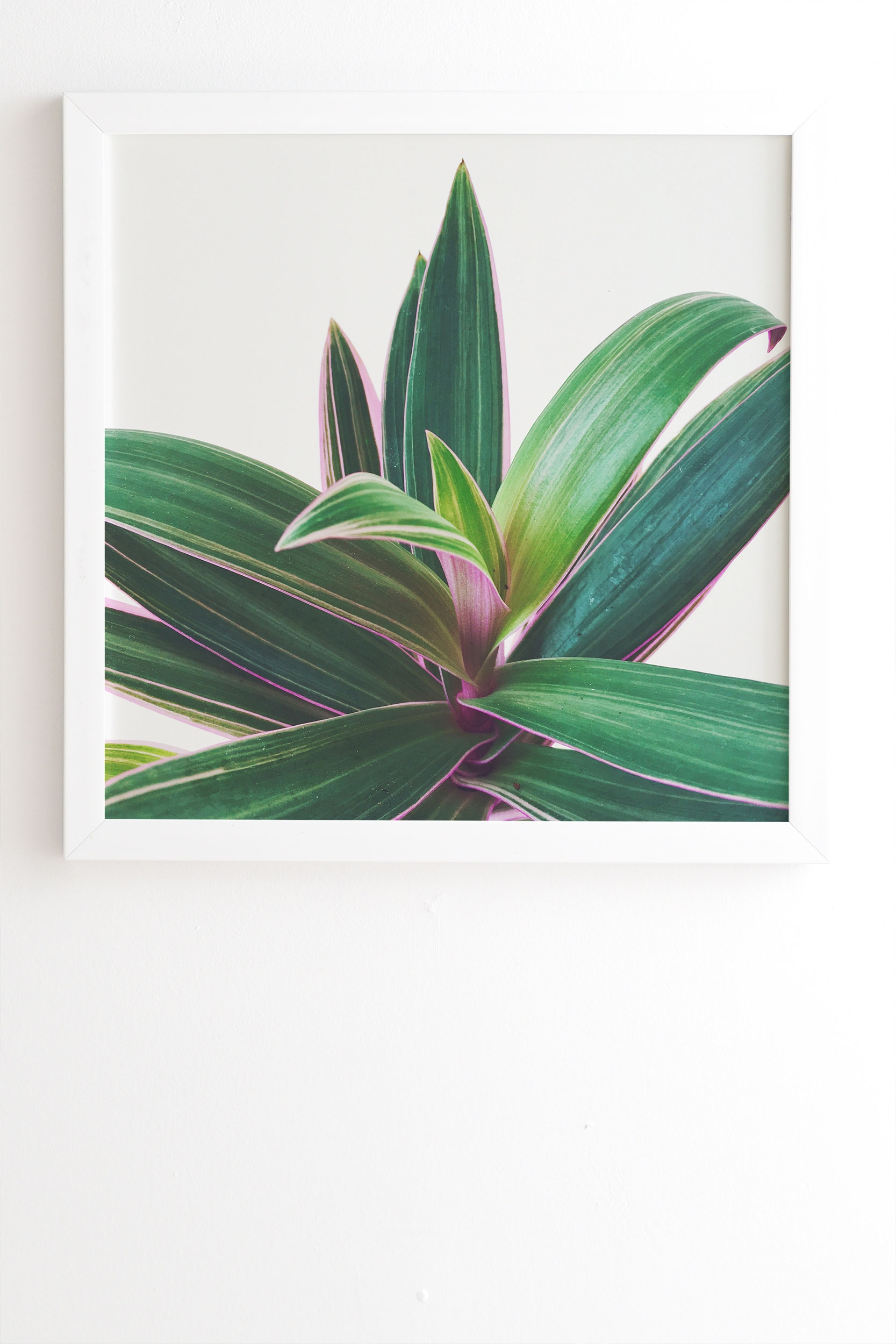 Oyster Plant by Cassia Beck - Framed Wall Art Basic White 19" x 22.4" - Image 1