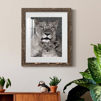 Lioness And Cub-Premium Framed Print - Ready To Hang - Image 0