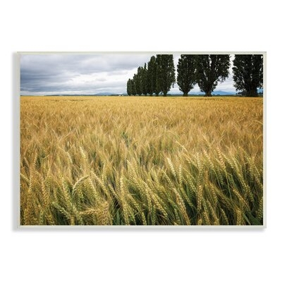 Wheat Field Harvest Windy Field Country Landscape - Image 0