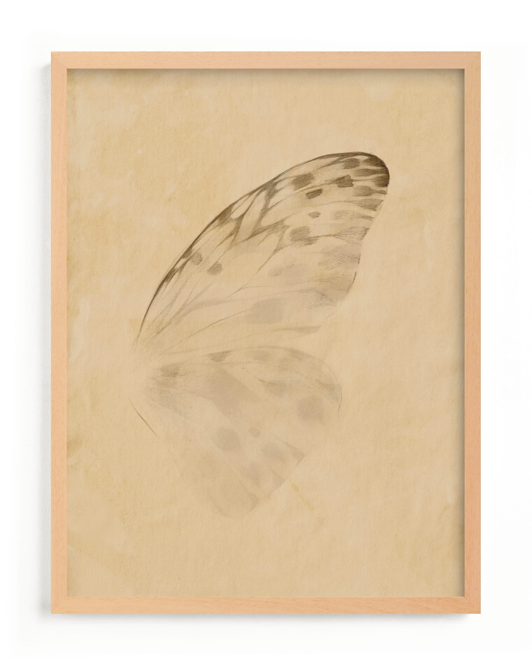 Vintage Mariposa II Limited Edition Fine Art Print 2 - Image 0