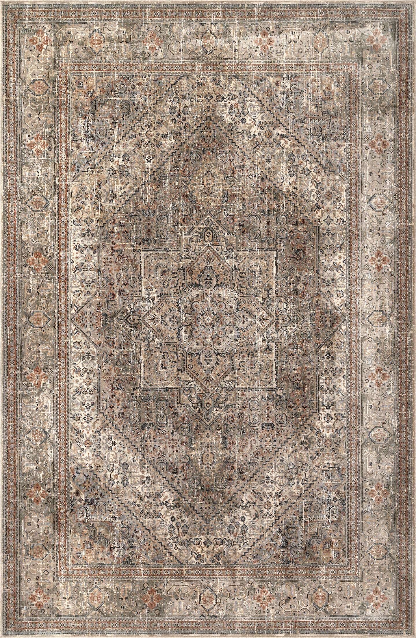 Traditional Carol Medallion Area Rug - Image 1