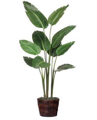 Faux Bird of Paradise Floor Plant in Basket - Image 0