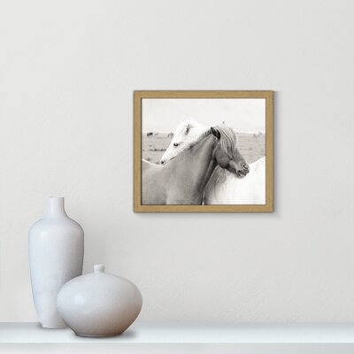 Icelandic Meadow Horses - Image 0